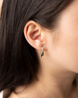 Teardrop Hook Earrings